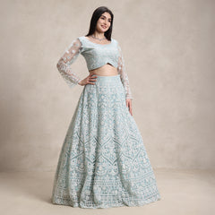 La Radi | Soft Net Lehenga Choli | Embroidered Intricate Beads Work