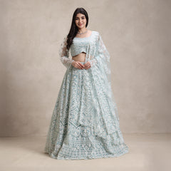 La Radi | Soft Net Lehenga Choli | Embroidered Intricate Beads Work
