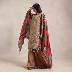 La Radi camera ready shimmer set with printed crepe dupatta back view