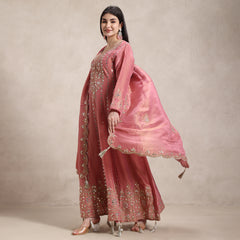 La Radi | Shimmer Fabric Anarkali With Mirror & Gotta Work